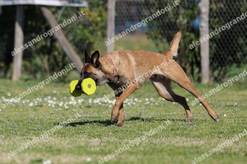 IMG_2803.jpg