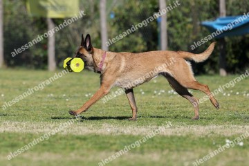 IMG_2806.jpg