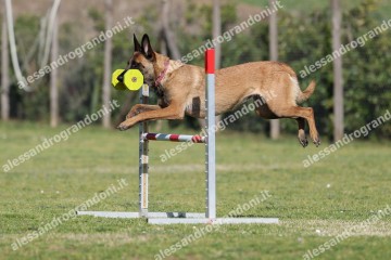 IMG_2825 (2).jpg