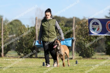 IMG_2852 (2).jpg