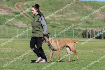 IMG_2915.jpg