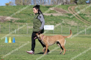 IMG_2919.jpg