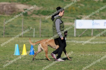 IMG_2932.jpg