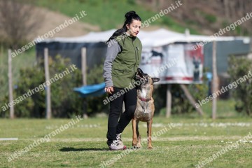 IMG_2960 (2).jpg