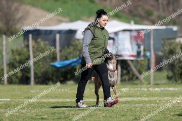 IMG_2964 (2).jpg