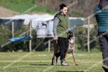 IMG_2967.jpg