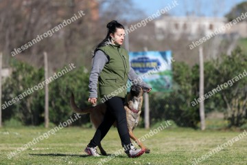 IMG_2979.jpg