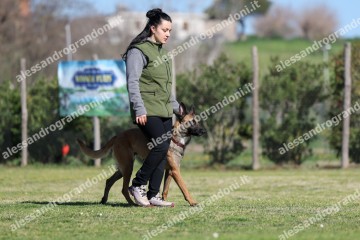 IMG_2985.jpg
