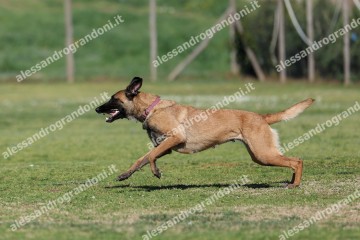 IMG_3011.jpg
