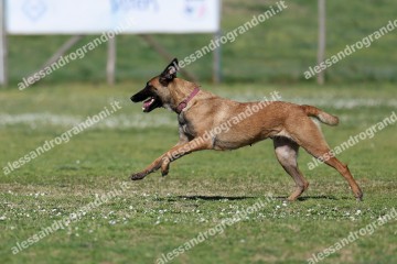 IMG_3035.jpg