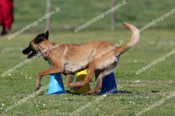 IMG_3055.jpg