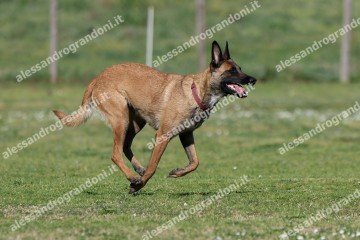 IMG_3068 (2).jpg