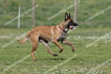 IMG_3071 (2).jpg