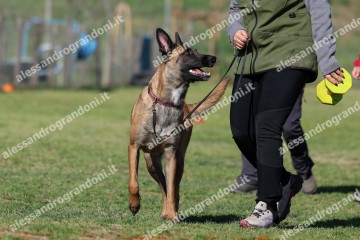 IMG_3232.jpg