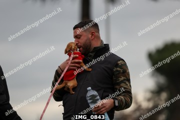 IMG_0843.jpg