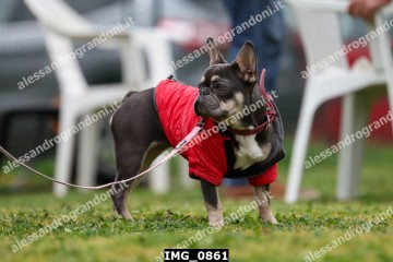 IMG_0861.jpg