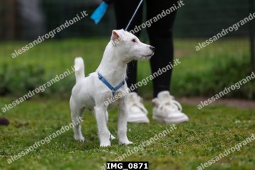 IMG_0871.jpg