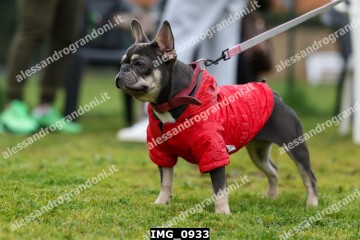 IMG_0933.jpg