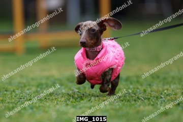 IMG_1015.jpg