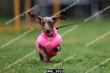 IMG_1022.jpg