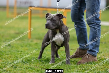 IMG_1039.jpg