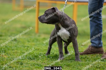 IMG_1043.jpg