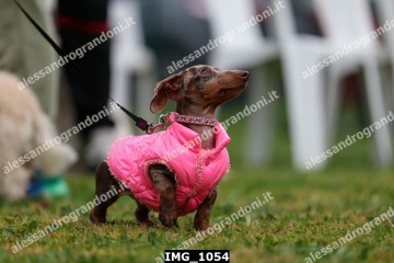 IMG_1054.jpg