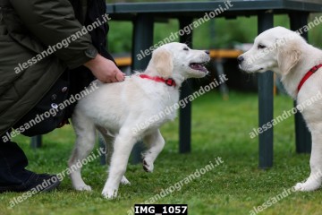 IMG_1057.jpg