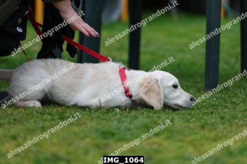 IMG_1064.jpg