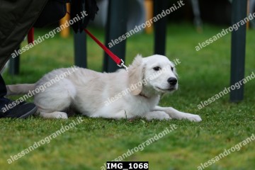 IMG_1068.jpg