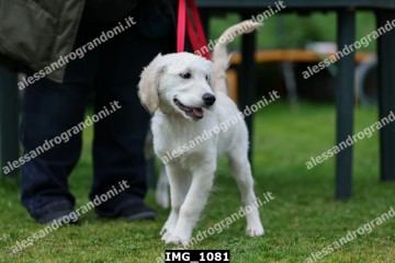 IMG_1081.jpg