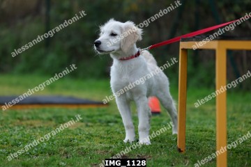 IMG_1128.jpg