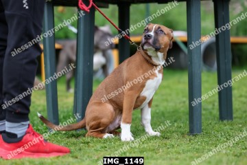 IMG_1149.jpg