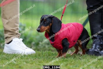 IMG_1194.jpg