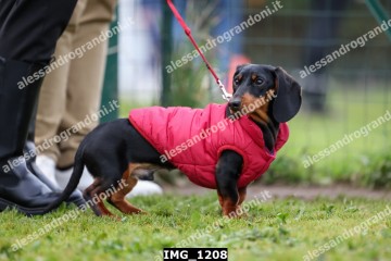IMG_1208.jpg