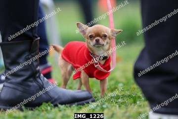 IMG_1226.jpg
