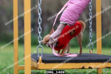 IMG_1409.jpg