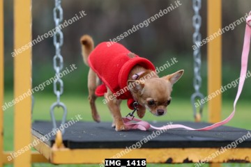 IMG_1418.jpg