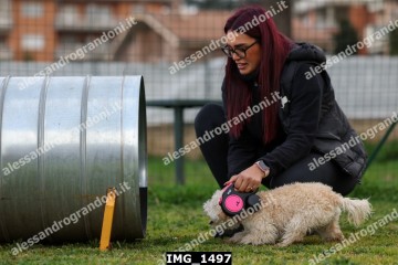 IMG_1497.jpg