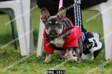 IMG_1511.jpg