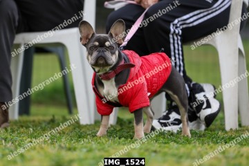 IMG_1524.jpg