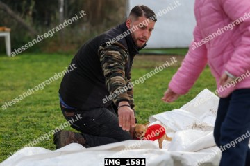 IMG_1581.jpg