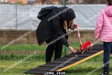 IMG_1620.jpg