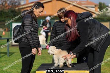 IMG_1662.jpg