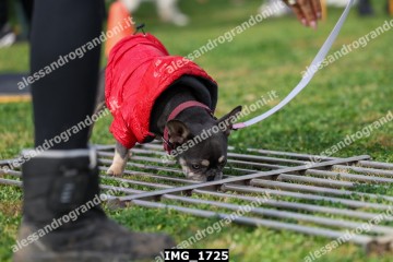 IMG_1725.jpg