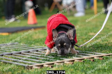 IMG_1734.jpg