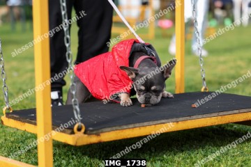 IMG_1738.jpg