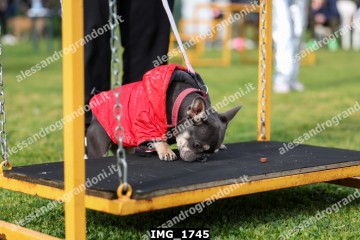 IMG_1745.jpg