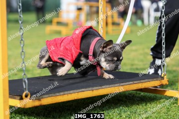 IMG_1763.jpg