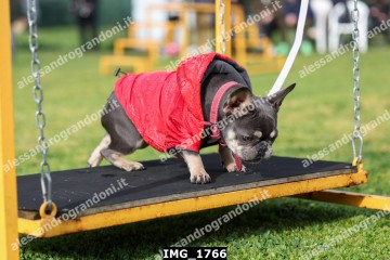 IMG_1766.jpg